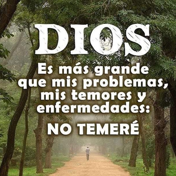 Rafael Orves tweet media