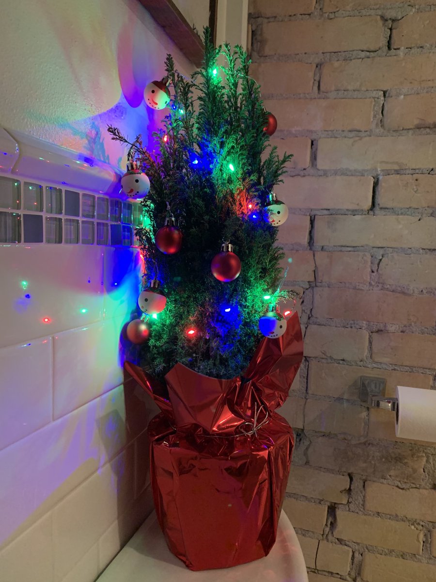 Dana Amdahl tweet media