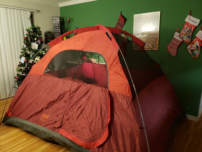 This is what you get when you're with me lol because why not? I can't travel yet and there's no woods