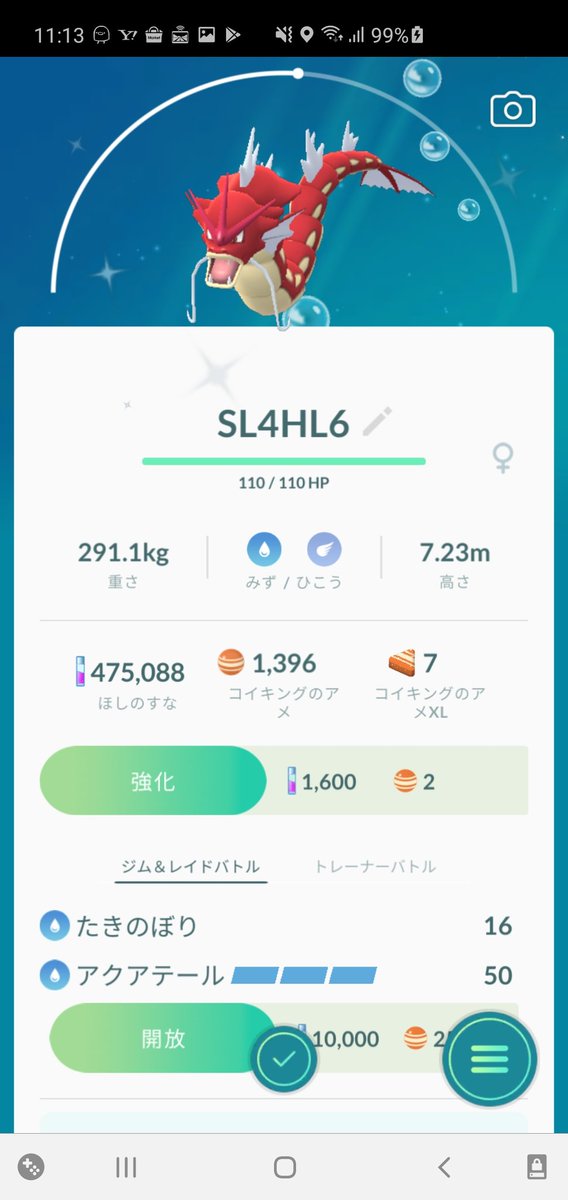 しーば Shiba على تويتر 通常sl4位 Hl6位 メガhl8位の金コイを自宅ソースでget アクテ赤ギャラにさっそく進化しました メガギャラドスになるとタイプがみず ひこうからみず あくになるんですよね ポケモンgo メガシンカ