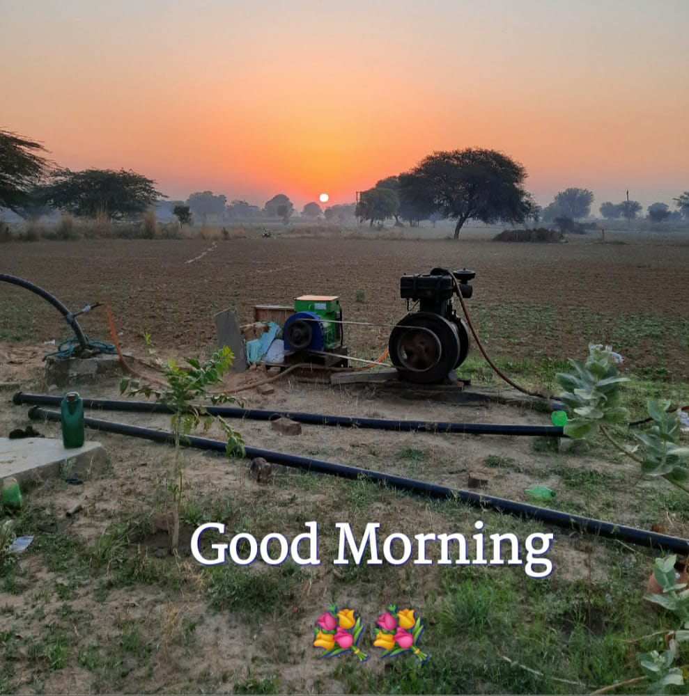wenalq's tweet photo. Nature beauty ❤, click by my chachaji https://t.co/4UQN2F6DRG