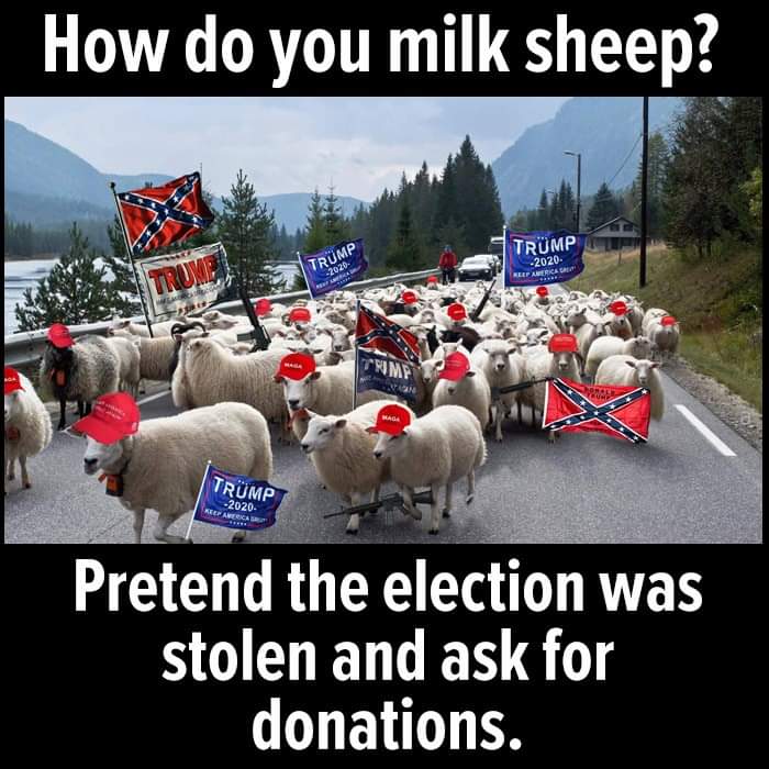 BlueDaysAhead's tweet photo. @mjcaggi2012 @La_Bete_humaine @BlueWaveSaveUs @seacreaturemama @New_AllyO @Nikijohns2020 @BulldogBen @noneejudi @TroyMic69176820 @smom_sara @OliverKatzz @CorkyCorkle3 @Henness87 @Kekilia57 @TBeshearK @MyPenny_x2 @GuyReadingNews @uncfanpdx https://t.co/64ceLmmmrk