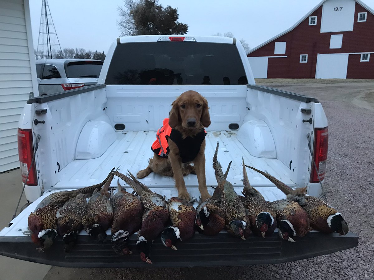 AdamBormann's tweet photo. There’s not many things more fun than watching your dog perform on a great day with great friends! @babydahl27 @cincoocho_ https://t.co/2bs1iZikDb