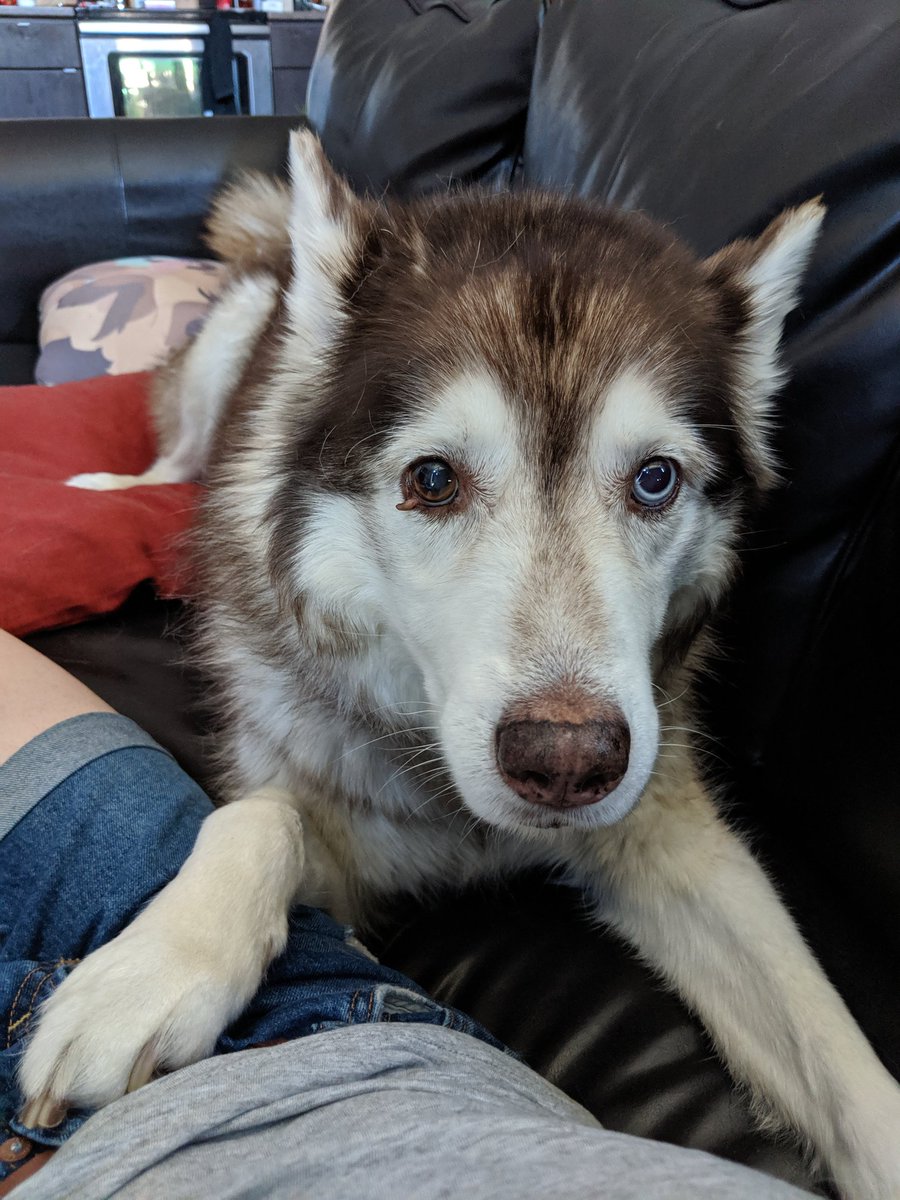 saddestawoo tweet picture