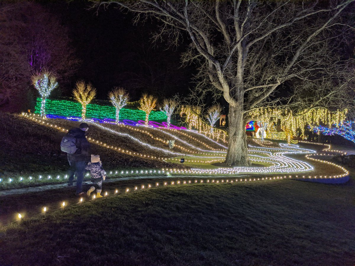 ableimes's tweet photo. Those winter lights 🤩 Thank you @thetrustees ✨ https://t.co/LE4MH5XXqe