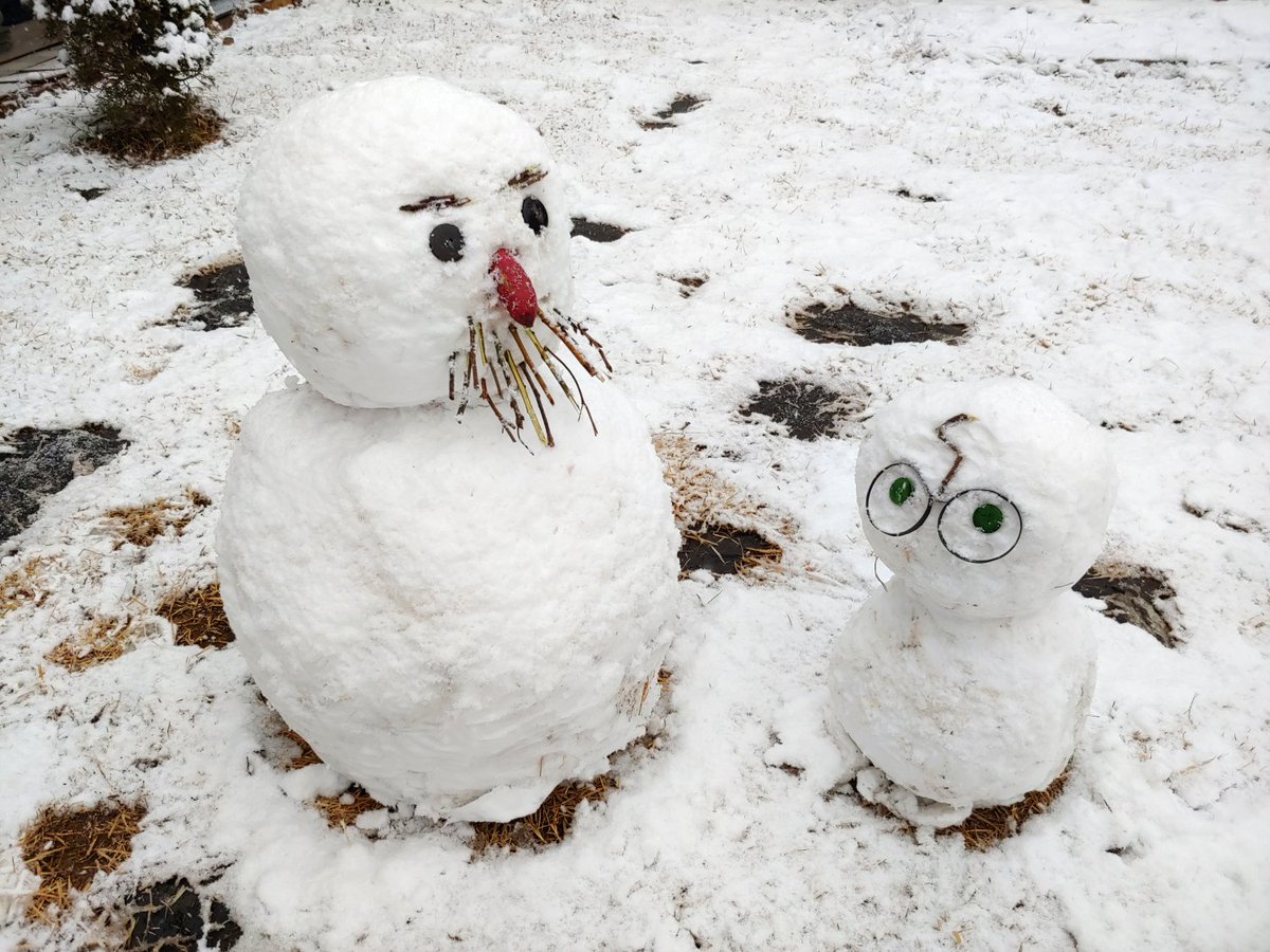 해리, 넌 마법사란다!
네?