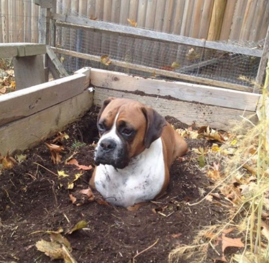 CauseWereGuys's tweet photo. He thinks he's a plant https://t.co/GMCUveOzVI