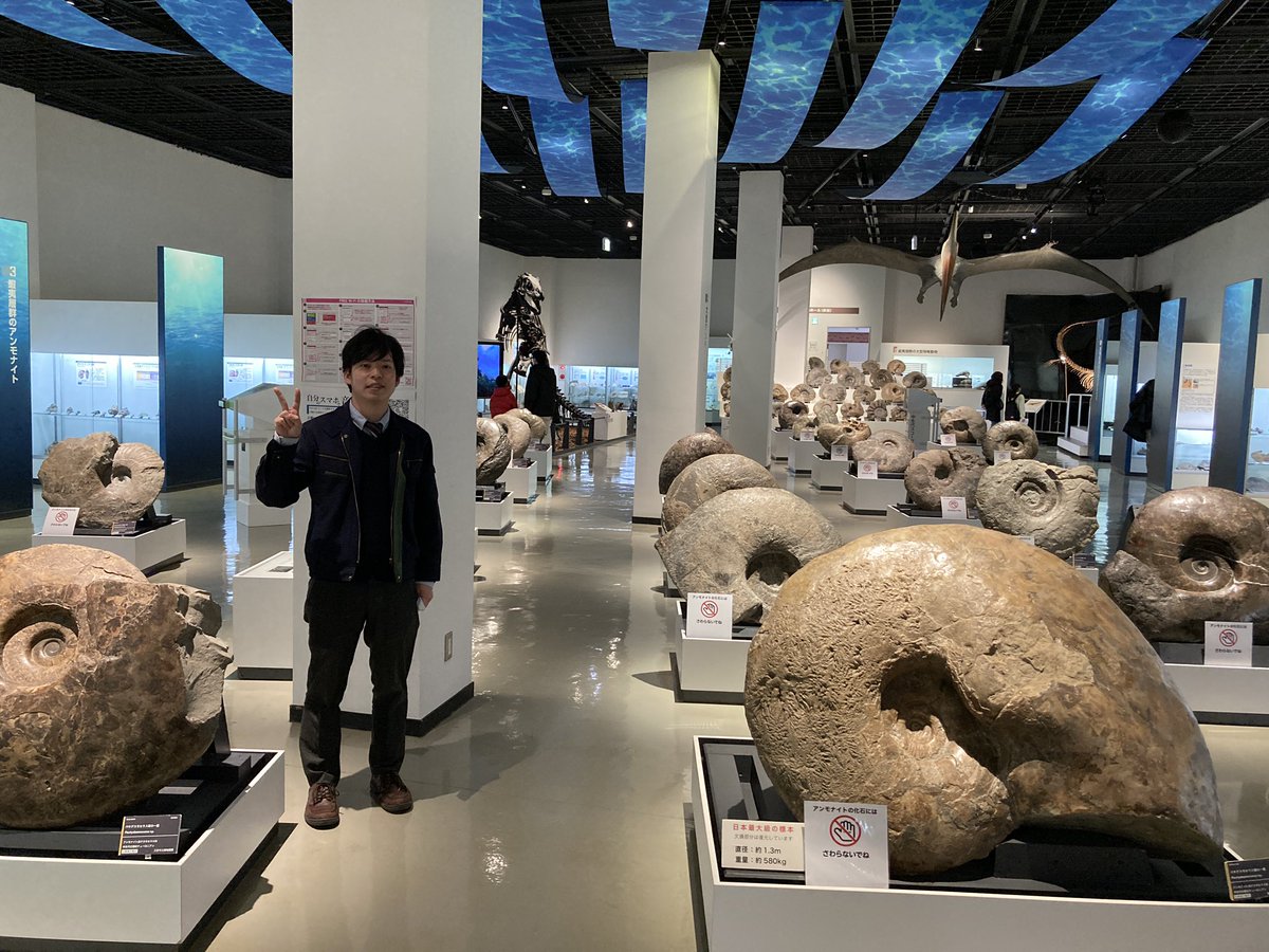 amtajika's tweet photo. イケメン学芸員（写真; @ammo_ammo_ammo）と世界トップクラスのアンモナイト展示を誇る三笠市立博物館に来ています. https://t.co/UcKFyx43D8