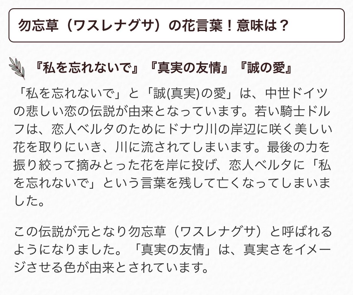 もも على تويتر ジミンちゃんはお花に例えると 勿忘草 忘れな草 花言葉まで美しい 触ったらスッと倒れてしまいそうな華奢さが自分らしいと じみんちゃん もも على تويتر ジミンちゃんはお花に例えると 勿忘草 忘れな草 花言葉まで美しい 触ったらスッと倒れてしまいそうな華奢さが自分らしいと じみんちゃん