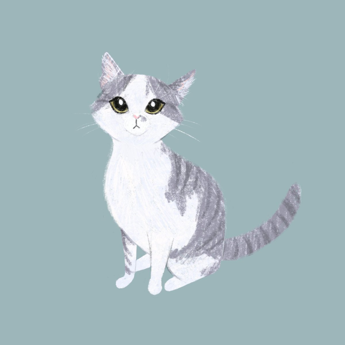 happynote_art's tweet photo. Today I present to you a cat. 
My parents joked about getting a pet once I went off to college and they actually did it 😂 It’s okay though. I love this cat. He loves to eat and has become very fluffy.
#cat #art #ArtistOnTwitter #illustration #digitalart https://t.co/xT1GBgK59q