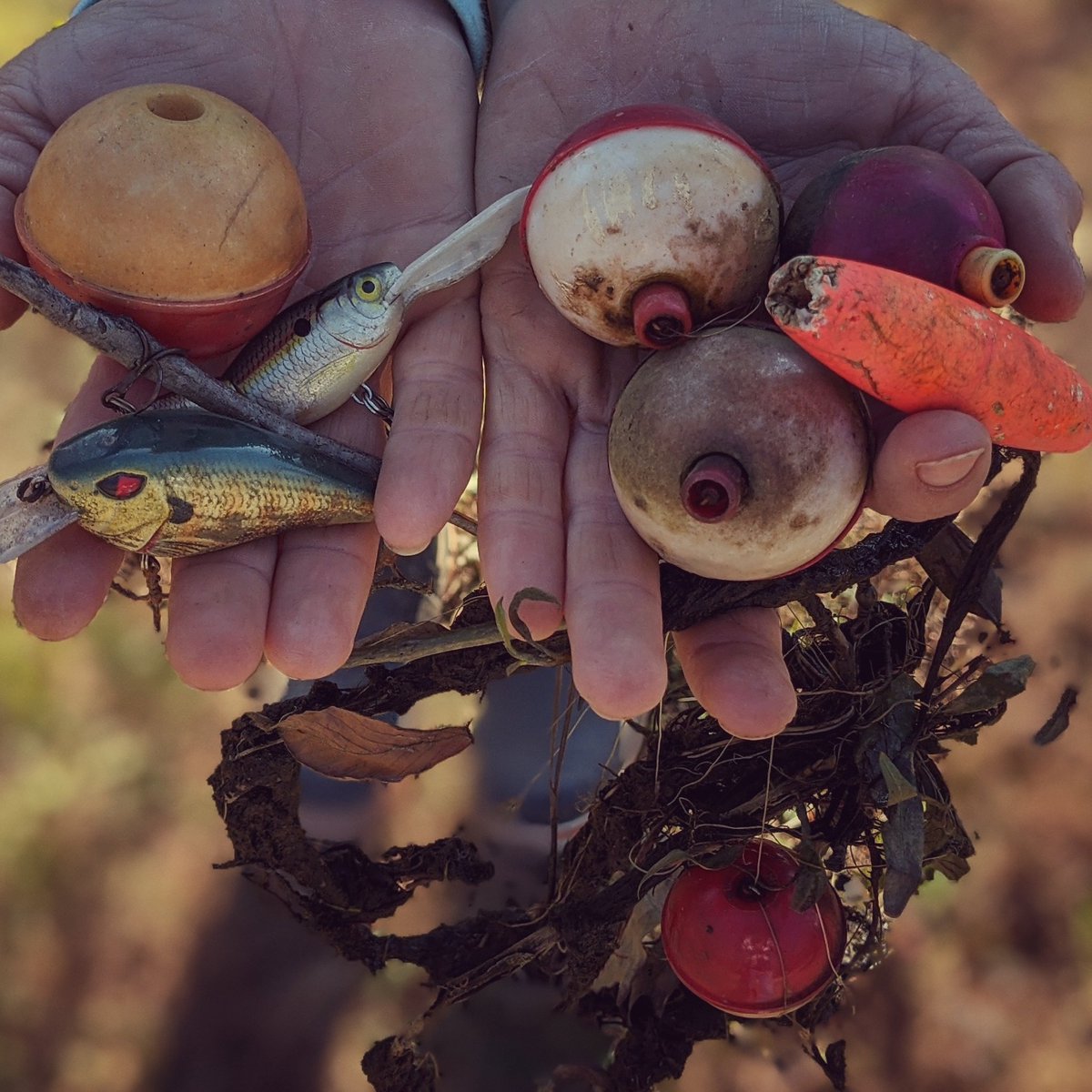 SnookieFishing's tweet photo. I like to challenge my friends on the water to find old gear. it's a fun way we give back to the environment by cleaning up after our fellow anglers!
#treasurehunt #fishinggear #kayakfish #fishing #bassfishing #crankbait #vintagefishing #outdoors #conservation #rivercleanup https://t.co/ommIURgEMa