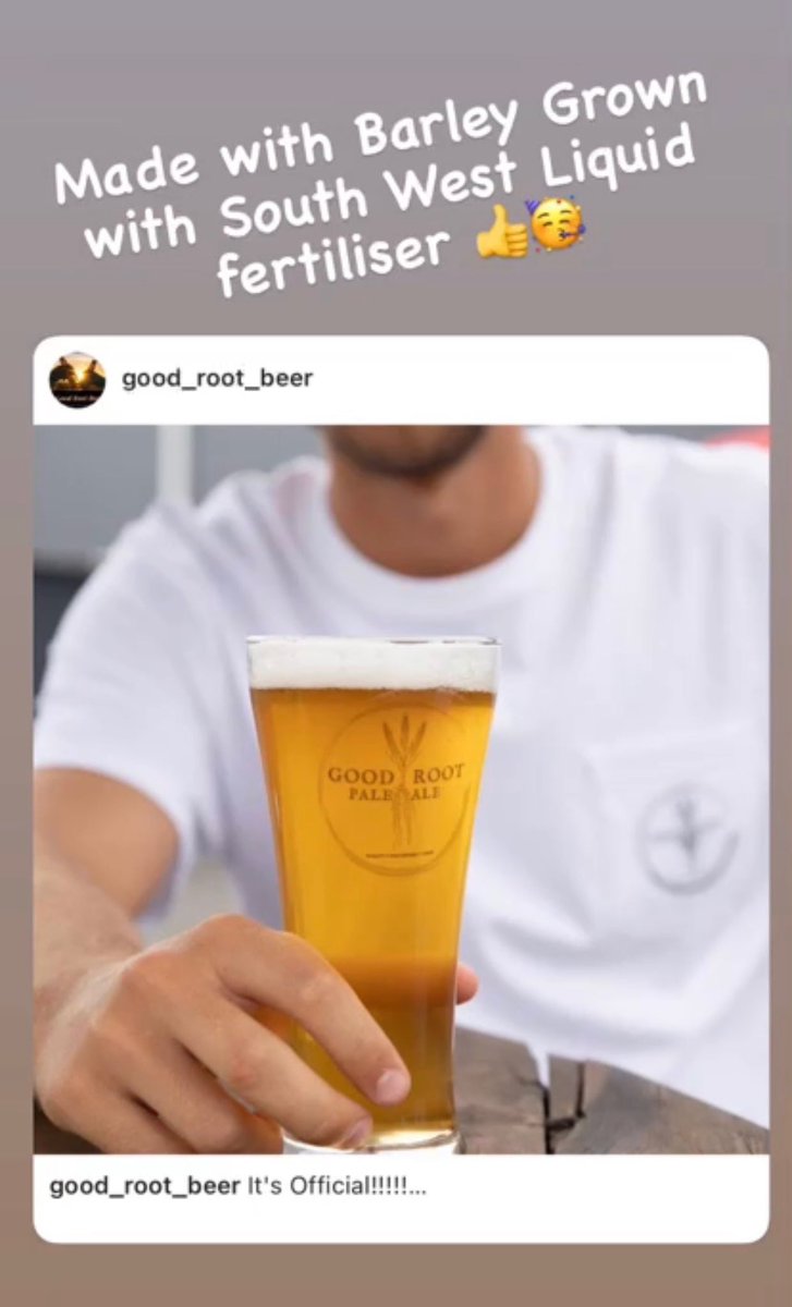 brendonsavage3's tweet image. Latest Project Southern Cross Ag Exports has been working on.
I have been excited to be involved in. Looking forward to working with more brewers following favourable reviews in the Eastern states.
#good_roots_beer #swliquids #asp_certified @rootsfixdirt