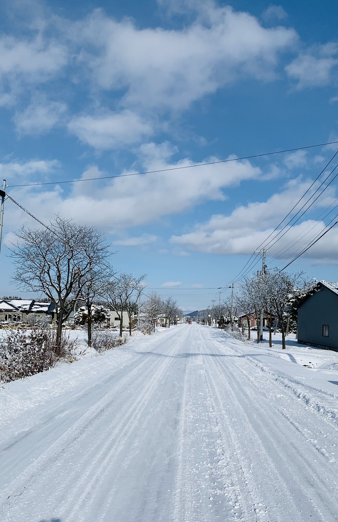 تويتر Kimu على تويتر 根雪だネ 雪道 根雪 青空https T Co Qmtpupyrjv تويتر Kimu على تويتر 根雪だネ 雪道 根雪 青空https T Co Qmtpupyrjv