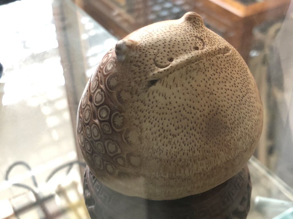 狮叽肉肉卷 tweet media