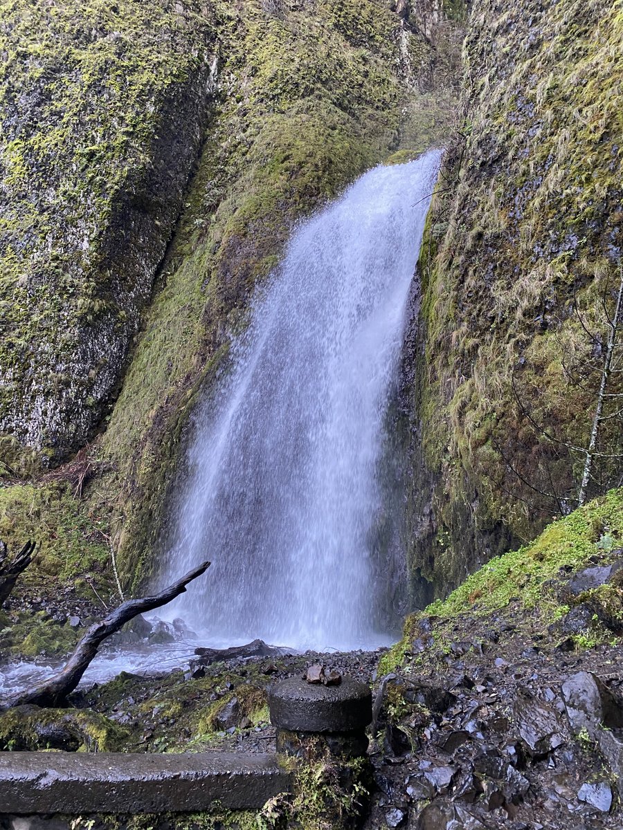 tloud's tweet photo. @saysthefox, I saw your story before I went on a hike, and I swear I saw Sapphire. She was pretty tiny, so it could have been another fairy.  But maybe you can zoom in on photoshop and confirm? Could be fun to share w/ your friend a la Amelie gnome :) https://t.co/8qW3sJqZir