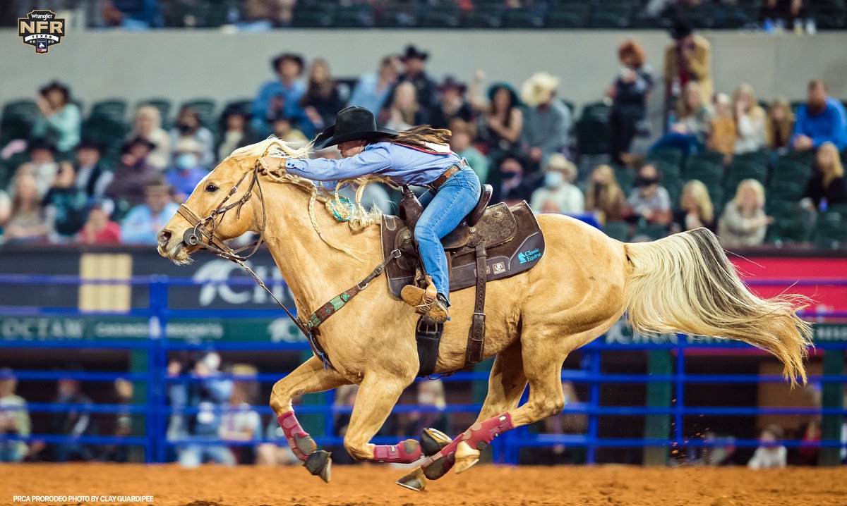 Ted Stovin tweet media