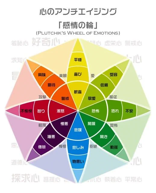 @girlmeetsNG 感情の輪：
不機嫌⇒怒り⇒激怒、物思い⇒悲しみ⇒悲嘆、というように段階を踏んで気持ちが移りゆくのが通常の状態です。
感情の老化は、いきなり激怒や悲嘆に達するようになるので、こうした気持ちの段階遷移ができているか、積極的に意識してみるといいですね。 
