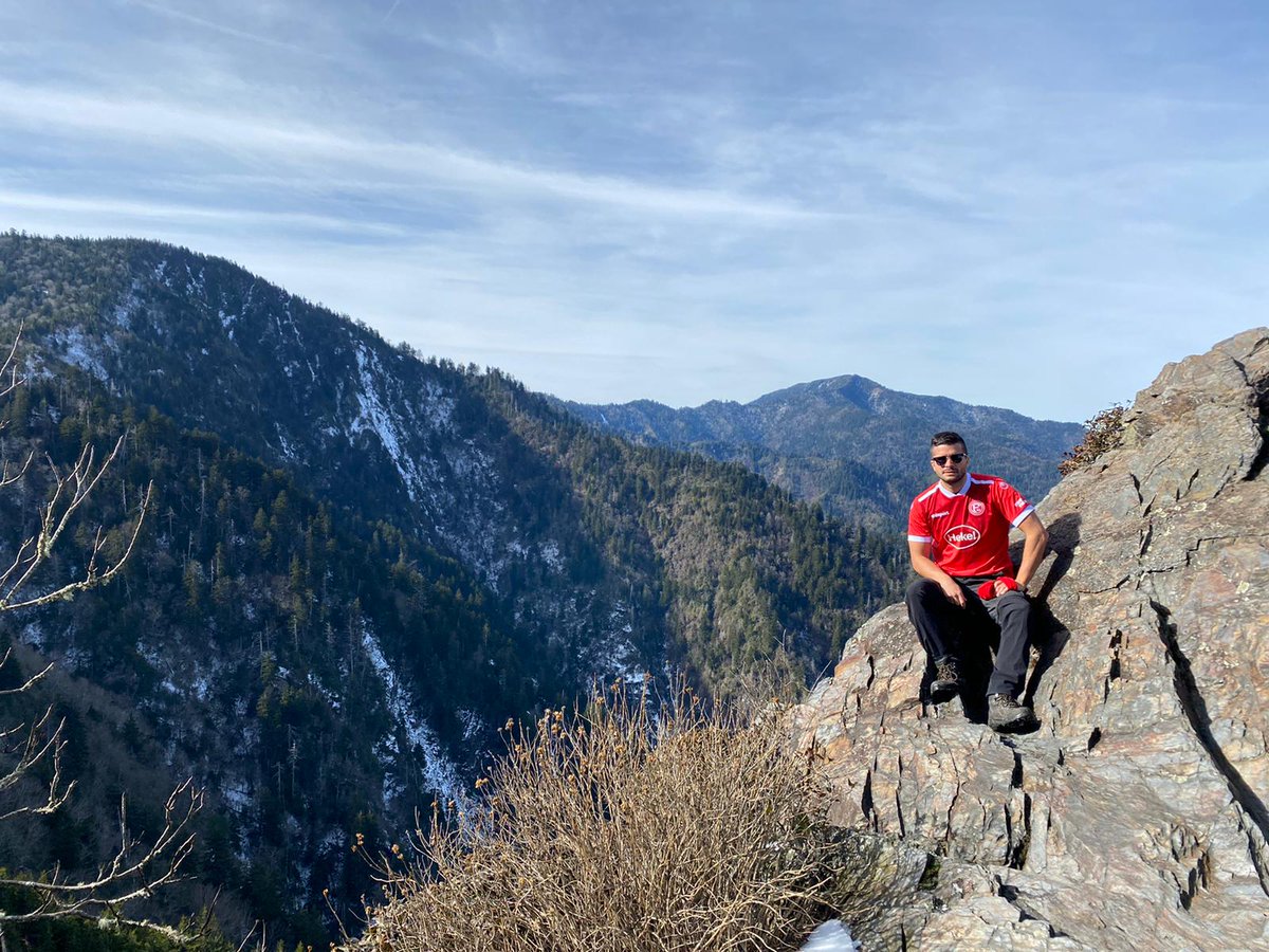 Gryphius tweet media