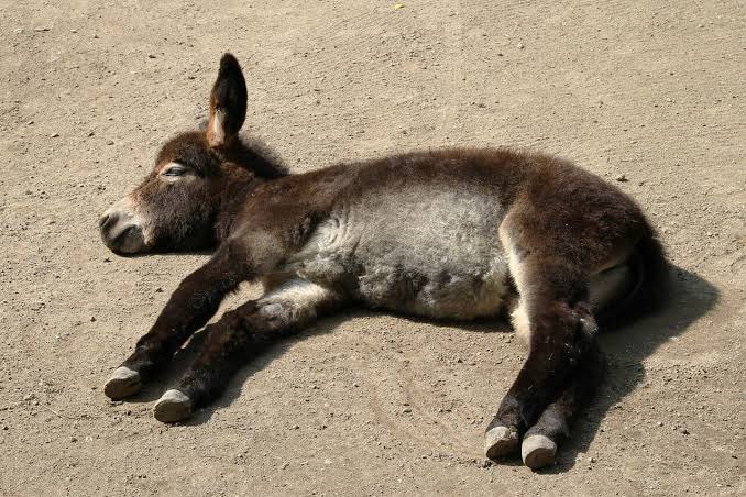 ถึงวันที่ 18 คับ <a href="/limiletedxyour/">CLOSE</a>