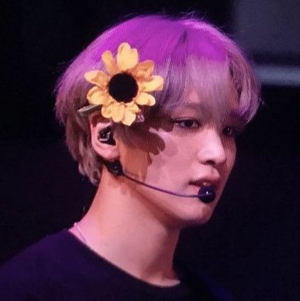 idollsluvsu's tweet photo. . (💌¹) hey ⁦@hcglxy, you have a new message ~

    ⌕ haechie .

⠀⠀ 𓂃  ִֶָ  i love u so much!! 

— “hey, sunflower.
passei aqui pra te desejar um feliz aniversário. espero que saiba que seu menino te ama e tem orgulho de ti!

also, fico muito feliz que eu tenha + https://t.co/uLviQ5dR0U