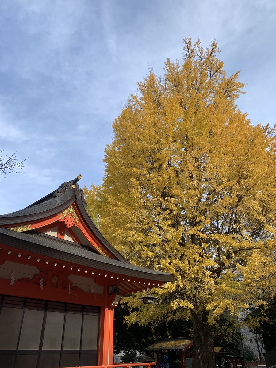お仕事完了のご報告と御礼のため、花園神社さんにお邪魔。
おみくじ、大吉。
神様、見てくれてるなぁ……(自惚) 