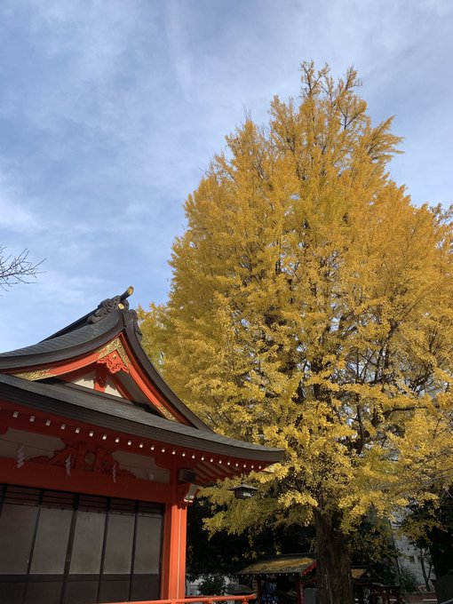 お仕事完了のご報告と御礼のため、花園神社さんにお邪魔。
おみくじ、大吉。
神様、見てくれてるなぁ……(自惚) 