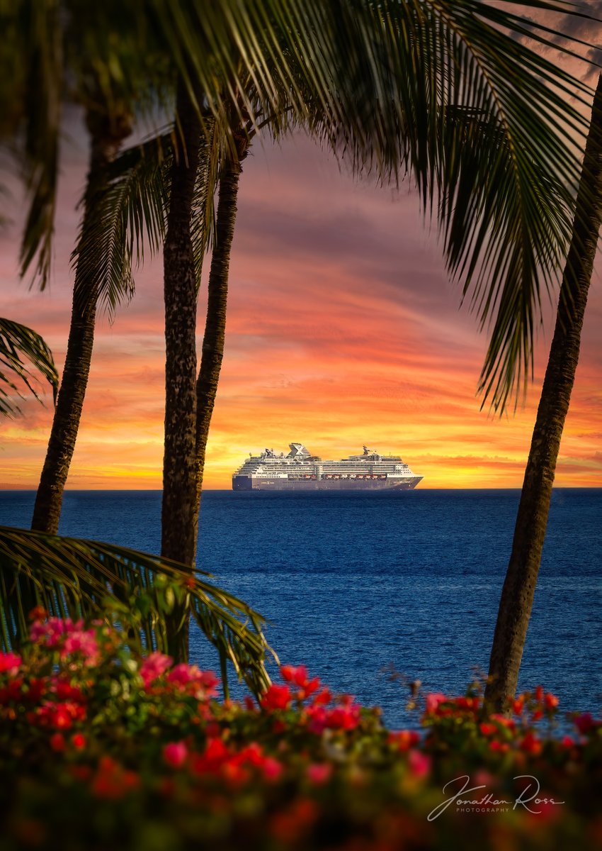 Mrjdross's tweet photo. #cruise #cruiselife #cruiseship #cruisevacation #cruiseships #cruiseshiplife #vacation #travelphotography #travel #traveltheworld #tropicalisland #palmtrees #sunset #sunsetphotography #sunsets_oftheworld #sonyalpha @sonyalpha https://t.co/y29UuFnI1V