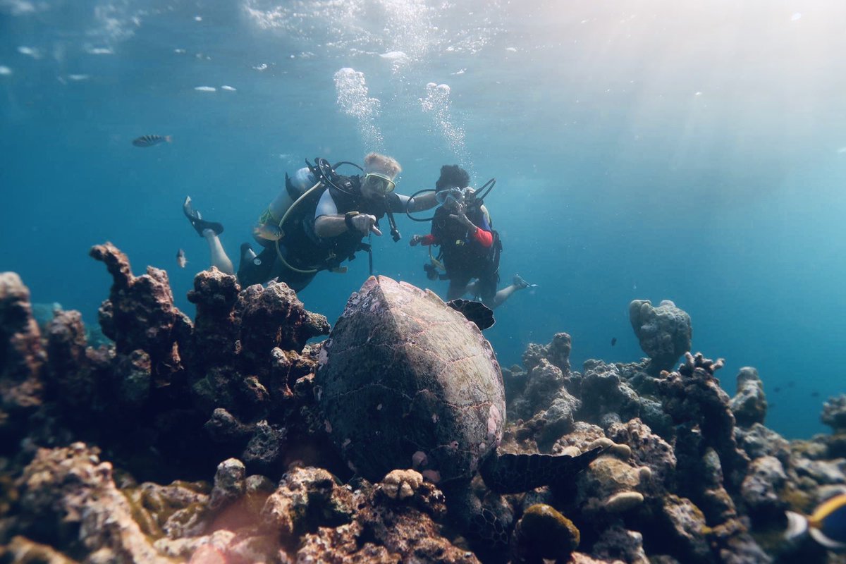 Today in Maldive snorkelling  is fine, sharks are playful - new resorts are coming up.  #Maldives is attracting new sources of cross-border capital from Europe and the United States. No rising seas in sight. Why would people put 300 m $’ in fresh investments in 2019.