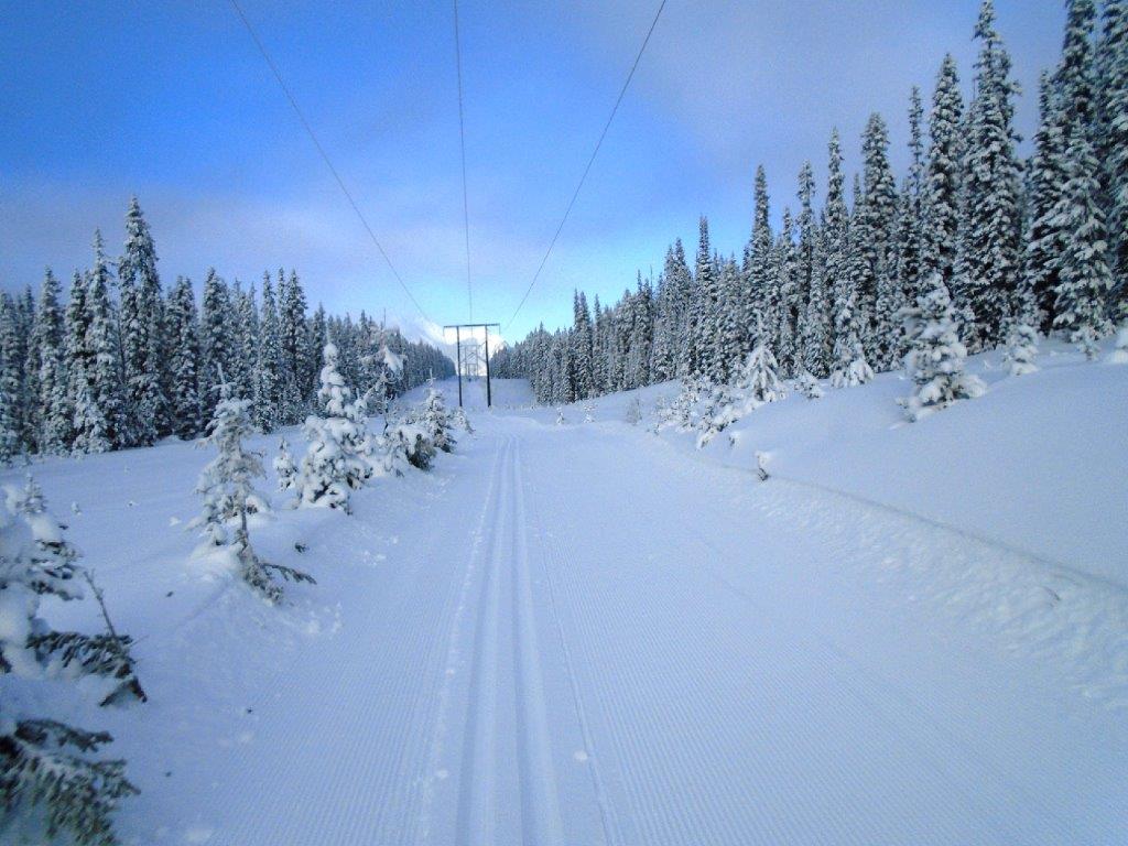 Fantastic conditions on last night's tracksetting on Tyrwhitt and Hydroline in PLPP. skierbob.ca/2020/12/tyrwhi…