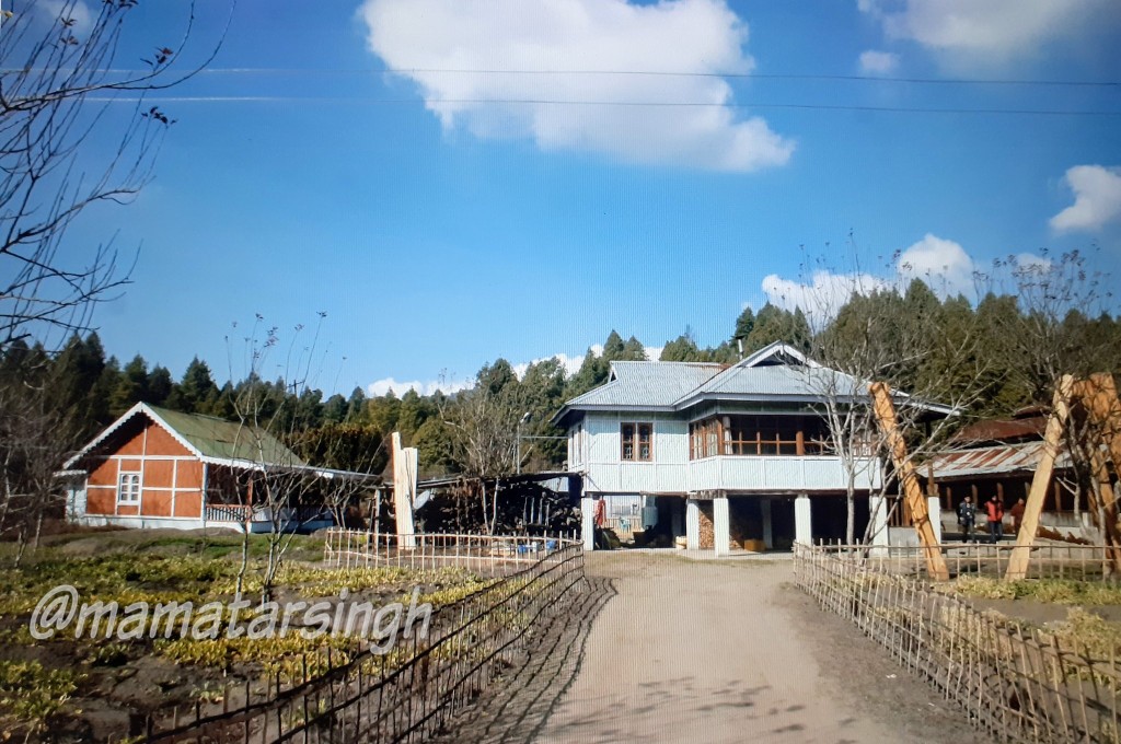 mamatarsingh's tweet image. Shortlisted as a UNESCO's World Heritage Site.

Agricultural festival #Dree of Apatani Tribe is mainly to celebrate nature's bounty

Permanent wet paddy cultivation, paddy cum fish farming &amp;amp; vast rice varieties are few unique &amp;amp; sustainable agricultural practices by Apatanis
2/2