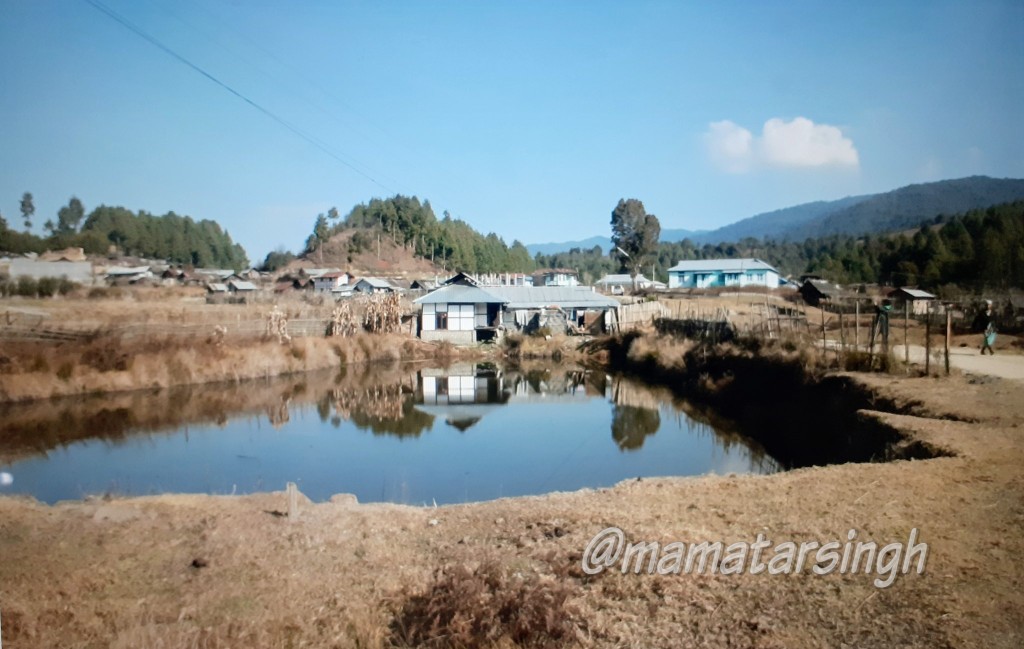 mamatarsingh's tweet image. Shortlisted as a UNESCO's World Heritage Site.

Agricultural festival #Dree of Apatani Tribe is mainly to celebrate nature's bounty

Permanent wet paddy cultivation, paddy cum fish farming &amp;amp; vast rice varieties are few unique &amp;amp; sustainable agricultural practices by Apatanis
2/2