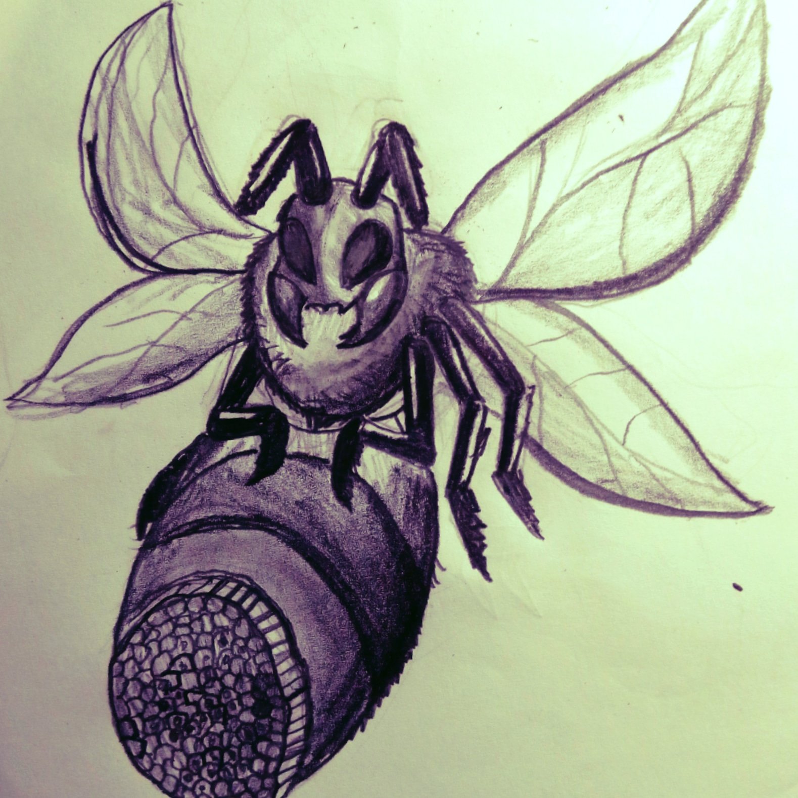 Honey bee drawing by hansumi0206 on DeviantArt