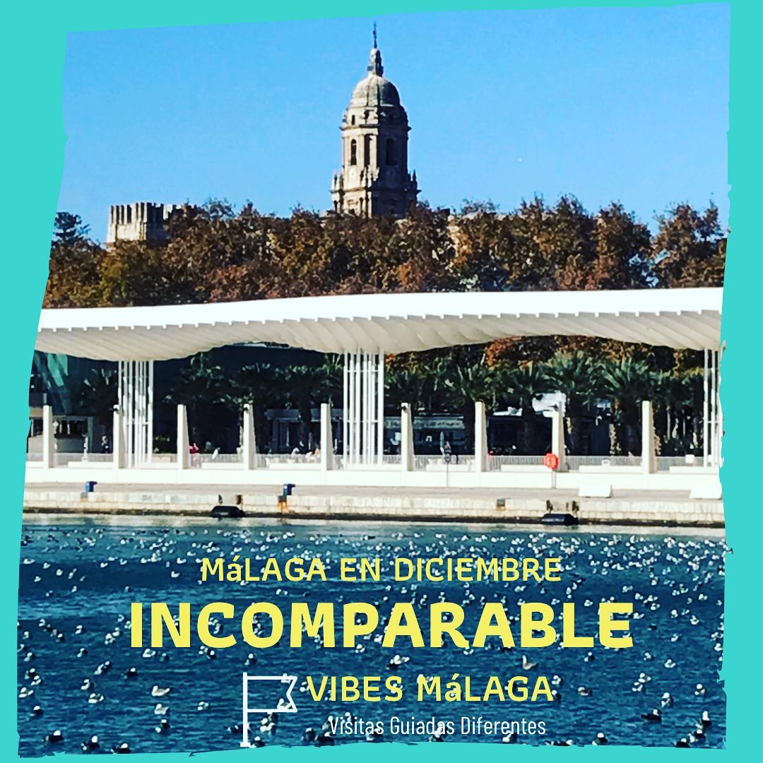 VibesMalaga's tweet photo. Se te ocurre algún sitio donde puedas estar mejor?
🌞
Reserva tu visita
https://t.co/1wxvlw1Qps
📞681 101 223
#VIBESMaLAGA
#malagueñospormalaga
#inviernocalido #primaveraeterna #navidadalsol #enmalagaseestamejor #enningunsitiocomoaqui #visitamalaga #visitadiferente #regalavisitas https://t.co/R4hIx3ILVG