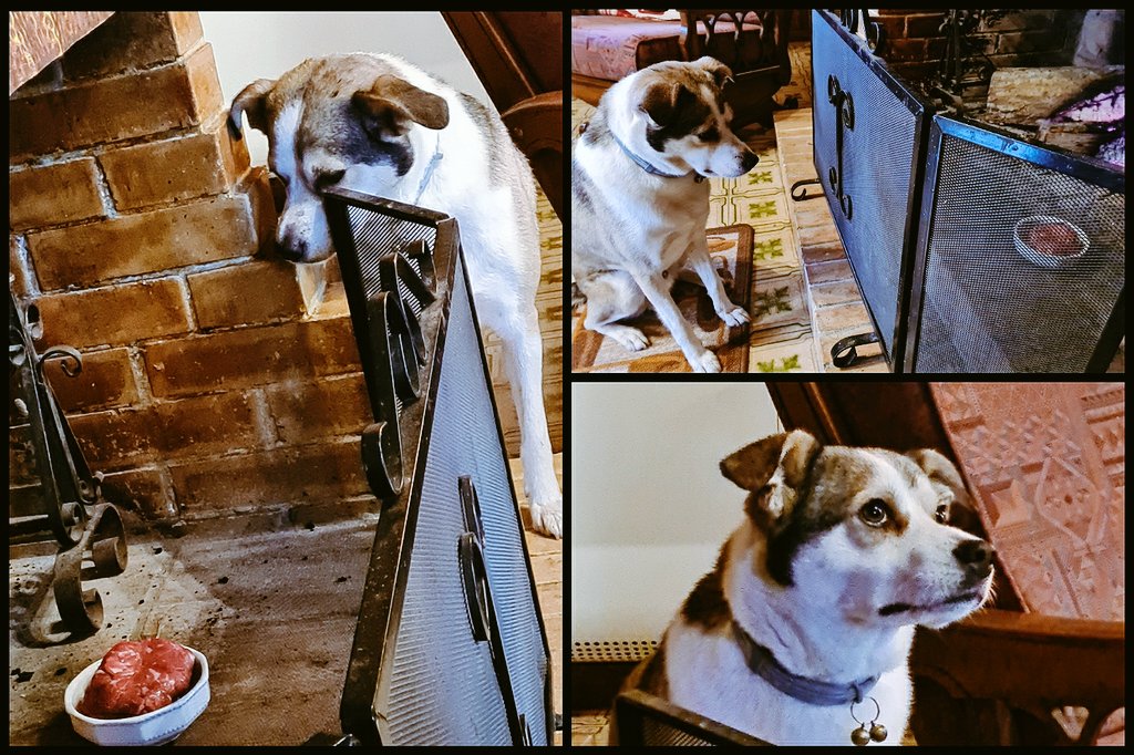 EpG26rzXMAAJof8?format=jpg&name=medium