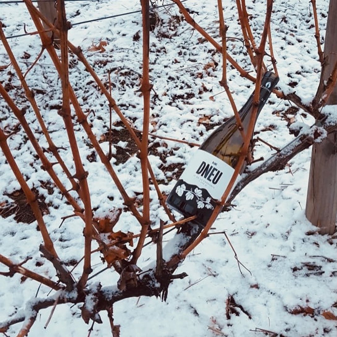 Aquest Nadal regala una ruta per alguna de les 12 DO de #vicatalà? 
La cultura del vi és present a tocar del Mediterrani i arriba fins i tot als Pirineus catalans, a més de 1.000 metres d'altura, com ara els vins de <a href="/llivins1/">@llivins</a>  
+ ℹ️ 🍷catalunya.com/rutes-tematiqu…