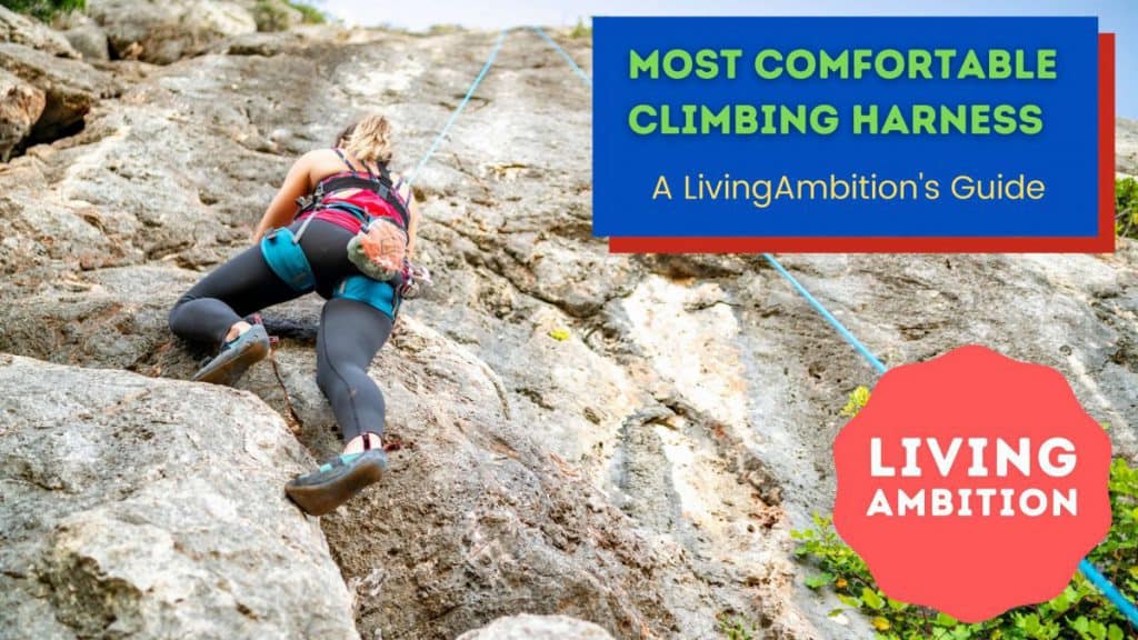 5 Most Comfortable Climbing Harness: livingambition.com/most-comfortab…

#adventure
#climbing
#climbinggear
#climbingtools
#iceclimcing
#outdoors
#livingambition