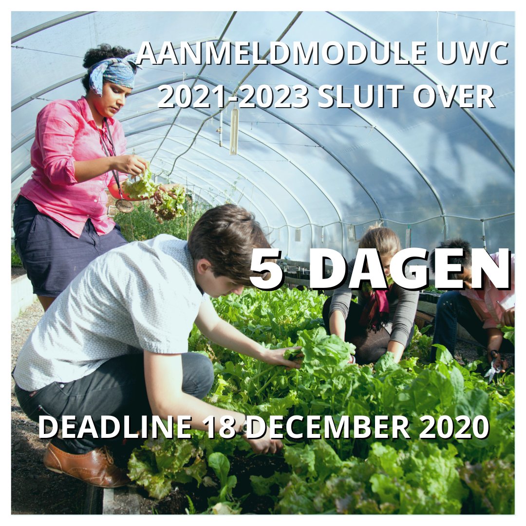 #applynow nog maar een paar dagen en de aanmelding van UWC Nederland sluit. Hebben je ouders en je mentor/docent hun deel al ingeleverd? De spannende periode van selecteren komt dichterbij. 
.
.
#uwc #uwcnl #aanmelding #deadline #selectie