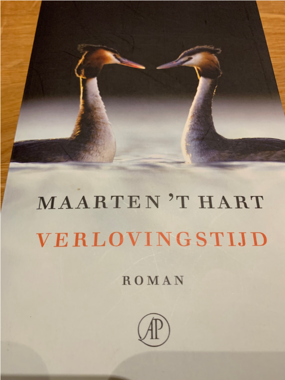 Rizoomes's tweet photo. Op een zonnige, windstille septemberdag stoven wij naar een groeve in Groningen. Jarenlang had mijn moeder daar met mijn stiefvader in Baflo gewoond. #beginzin mag best over het weer gaan 😀 https://t.co/BZf5HRWE7K