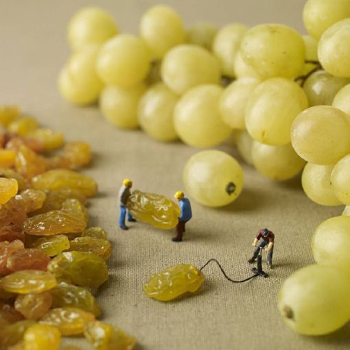boswj18's tweet photo. Manufacturing of grapes.............. https://t.co/Iz7Q99NKFi