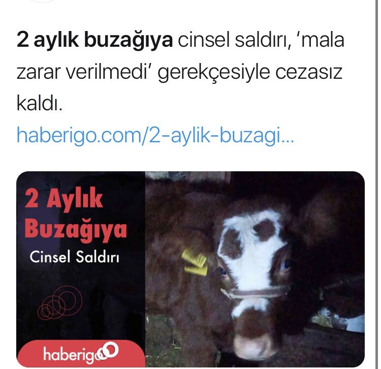 Yavru buzağı’ya tecavüz ediliyor.
Tecavüzcünün DNA’sı uyumlu çıkıyor.
Sevgili gazeteci arkadaşlar!
Kesinleşmiş olayların faillerinin kimliğini lütfen açık yazın. 
Yazın ki utanılsın!
Ben artık yazacağım.
Adı Gasım Erdoğan.