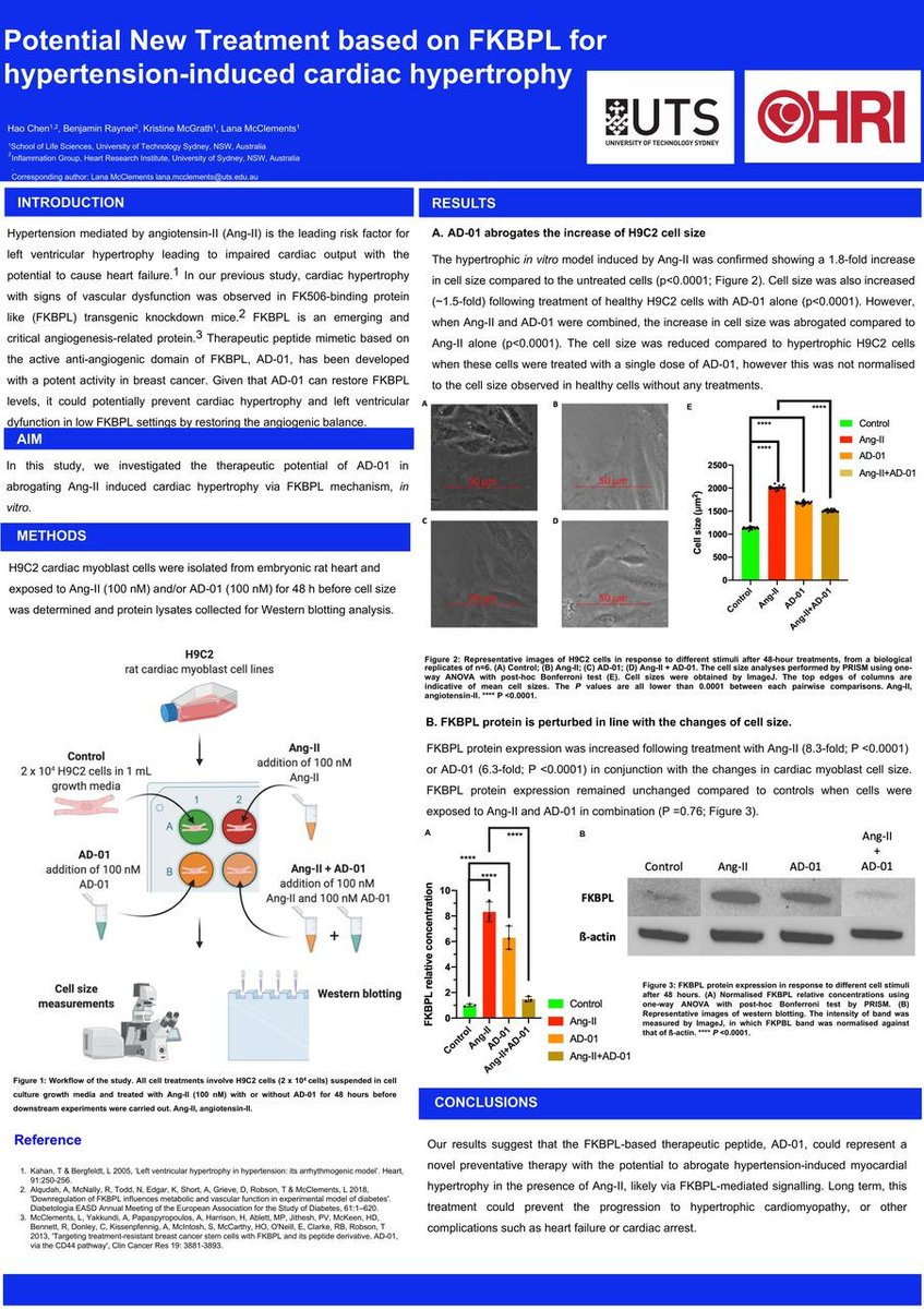 McClementsLana's tweet photo. Novel treatment with potential for prevention of #heartfailure based on #FKBPL Great work by a very talented student @HaoChen79075796 #CSANZ2020 Abstract published 👉https://t.co/Ihmyx5Ay87 https://t.co/rmpC8eLvwp