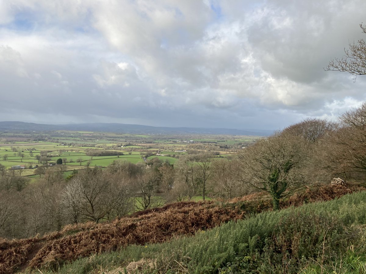 When you are fed up with Brexit and  COVID-19 only one thing for it - a bracing walk at Hembury Hill Fort.