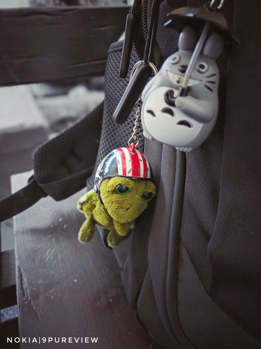 NetnNo's tweet image. เต่าน้อยแซมมี่
#nokia #pureview #fivecamera
@NokiaMobile