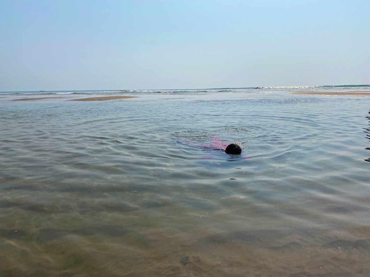 Kids fun-time in the water now!!  #EcoretreatOdisha  #Konark