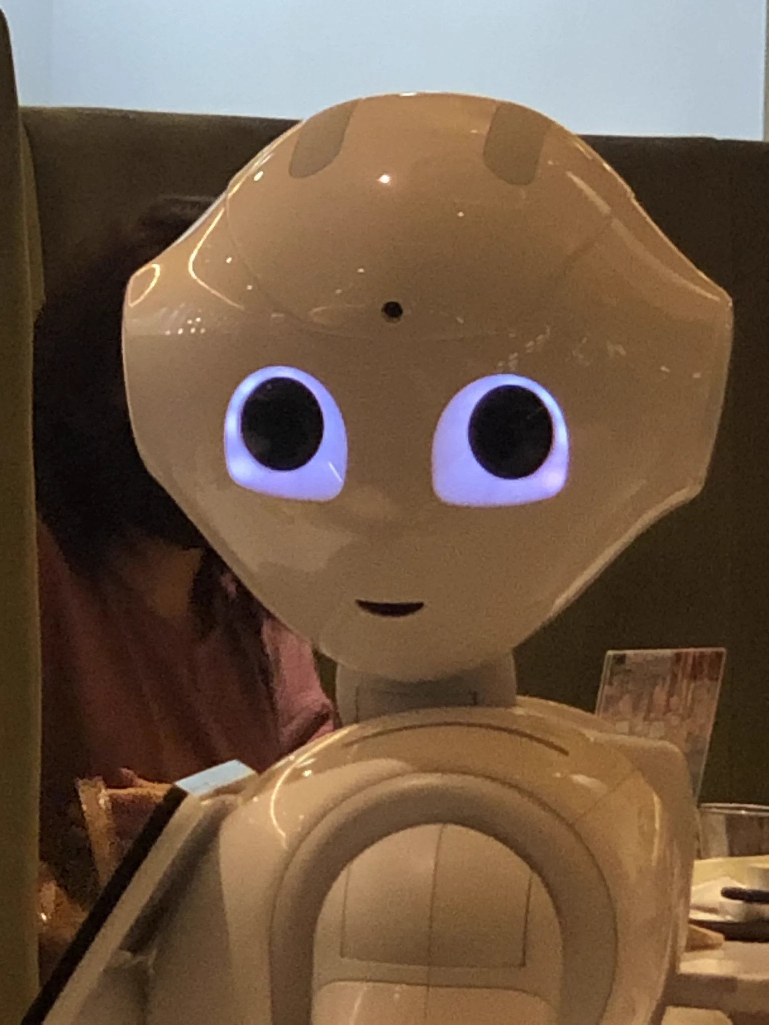 一席一台ペッパーくんが接客してくれるけど？隣の席のペッパーくんがこっち見てくるwww