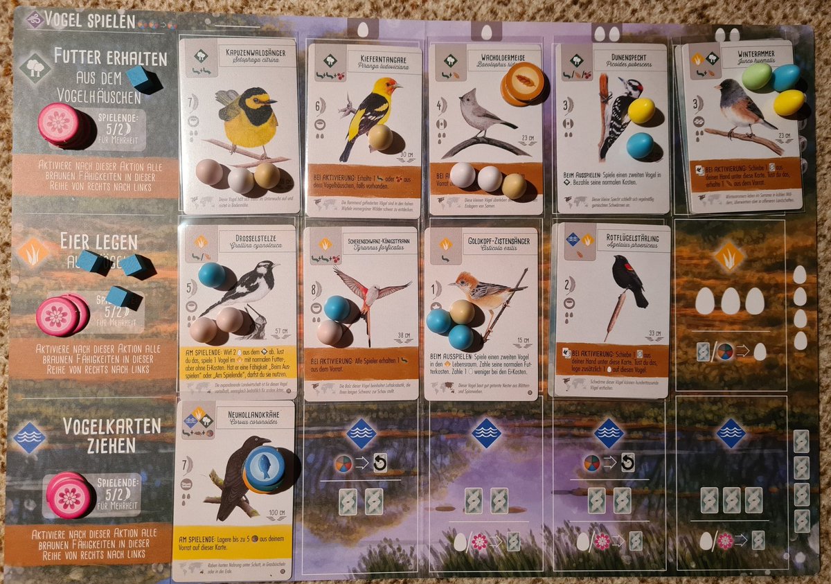 b1isti's tweet photo. #Flügelschlag, #wingspan, #Ozeanienerweiterung, #solobrettspiel, wieder eine feine Runde, bei der der Automa besiegt wurde. Die Erweiterung macht richtig Spass, aber es scheint einfacher zu werden den Automa zu besiegen. https://t.co/njzN5S4XUA