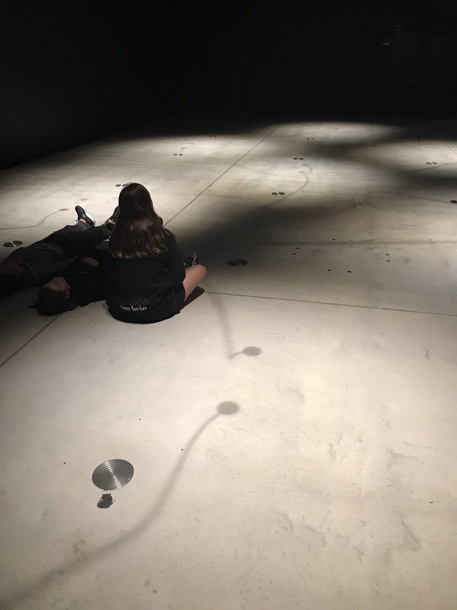 HelenHaine's tweet photo. Introduced my girls to Len Lye’s kinetic works for the first time today @GovettBrewster
Their reaction was visceral - interacting by lying prone to better absorb the movement.
#SkySnakes
#LenLye https://t.co/IgQb7ekqdE