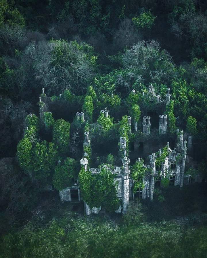 Nature prevails all 💚 ⠀⠀⠀⠀⠀⠀⠀
Wexford, #Ireland