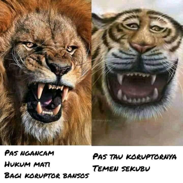 Bakhtiar_Bete's tweet photo. Koplak https://t.co/RHHWEKFayA