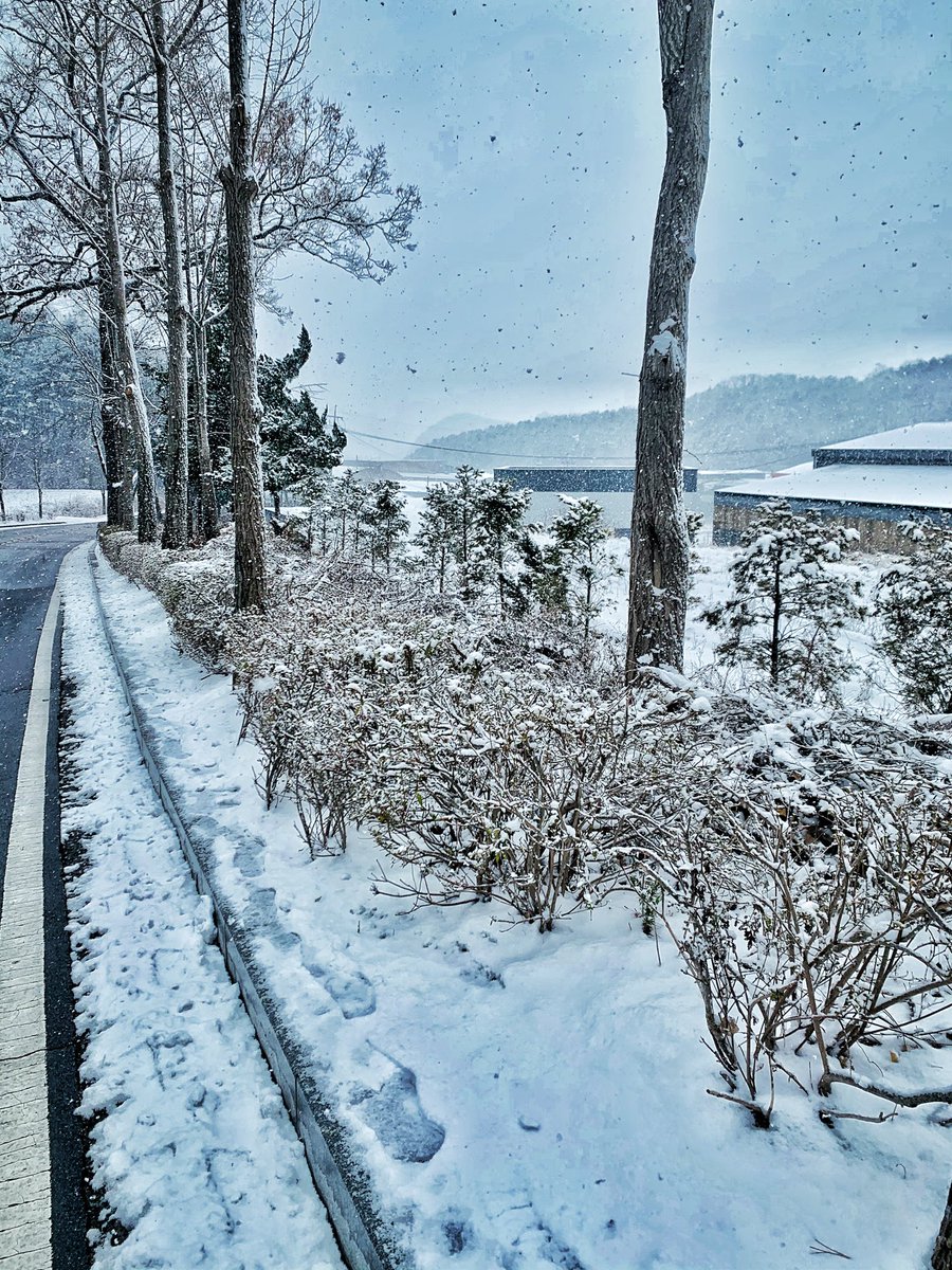 MayuraBrayan's tweet photo. Winter #Moment #Skorea #5thwinter #HomeWay #LoveBird පාළුවට කෙල්ලෙක් හිටියනම් 😌♥️ https://t.co/hlOik45jLl
